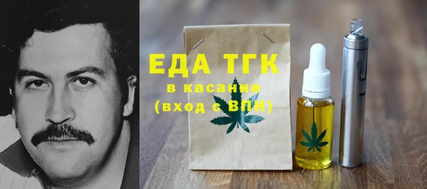тгк Сатка