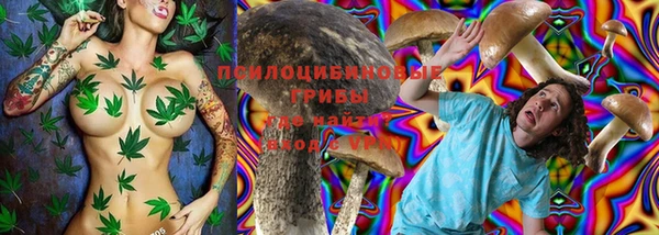 тгк Сатка