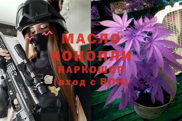 тгк Сатка