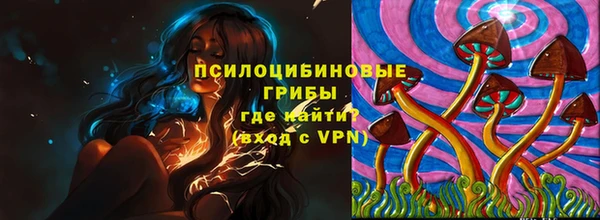 тгк Сатка